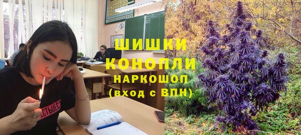 ПСИЛОЦИБИНОВЫЕ ГРИБЫ Белокуриха