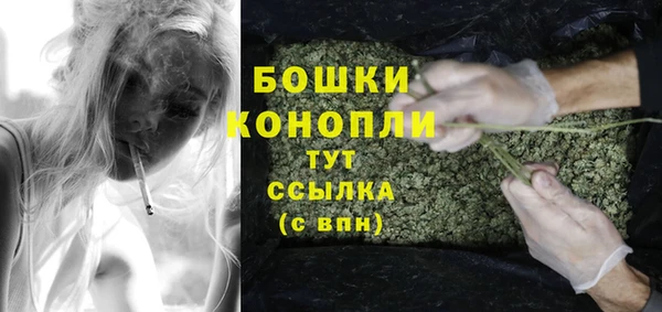 ПСИЛОЦИБИНОВЫЕ ГРИБЫ Белокуриха