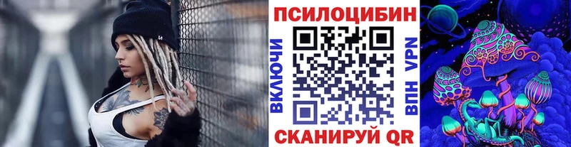 цены наркотик  Курильск  Галлюциногенные грибы Psilocybine cubensis 